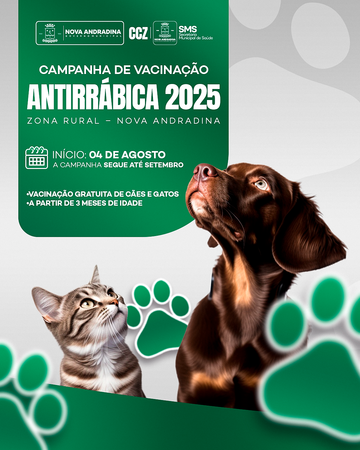 Left or right campanha antirra bica 2025 01 1 