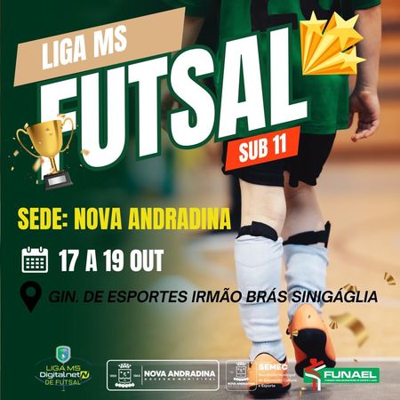 Left or right ligams futsal